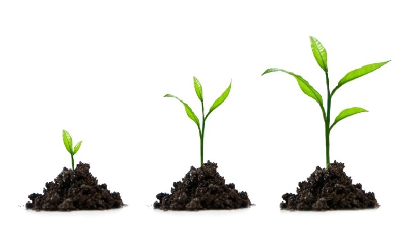 ЖИЖИГ ДУНД ҮЙЛДВЭРЛЭЛИЙГ ДЭМЖИХ ЖИШИГ ХУУЛЬ ХЭРЭГТЭЙ БАЙНА