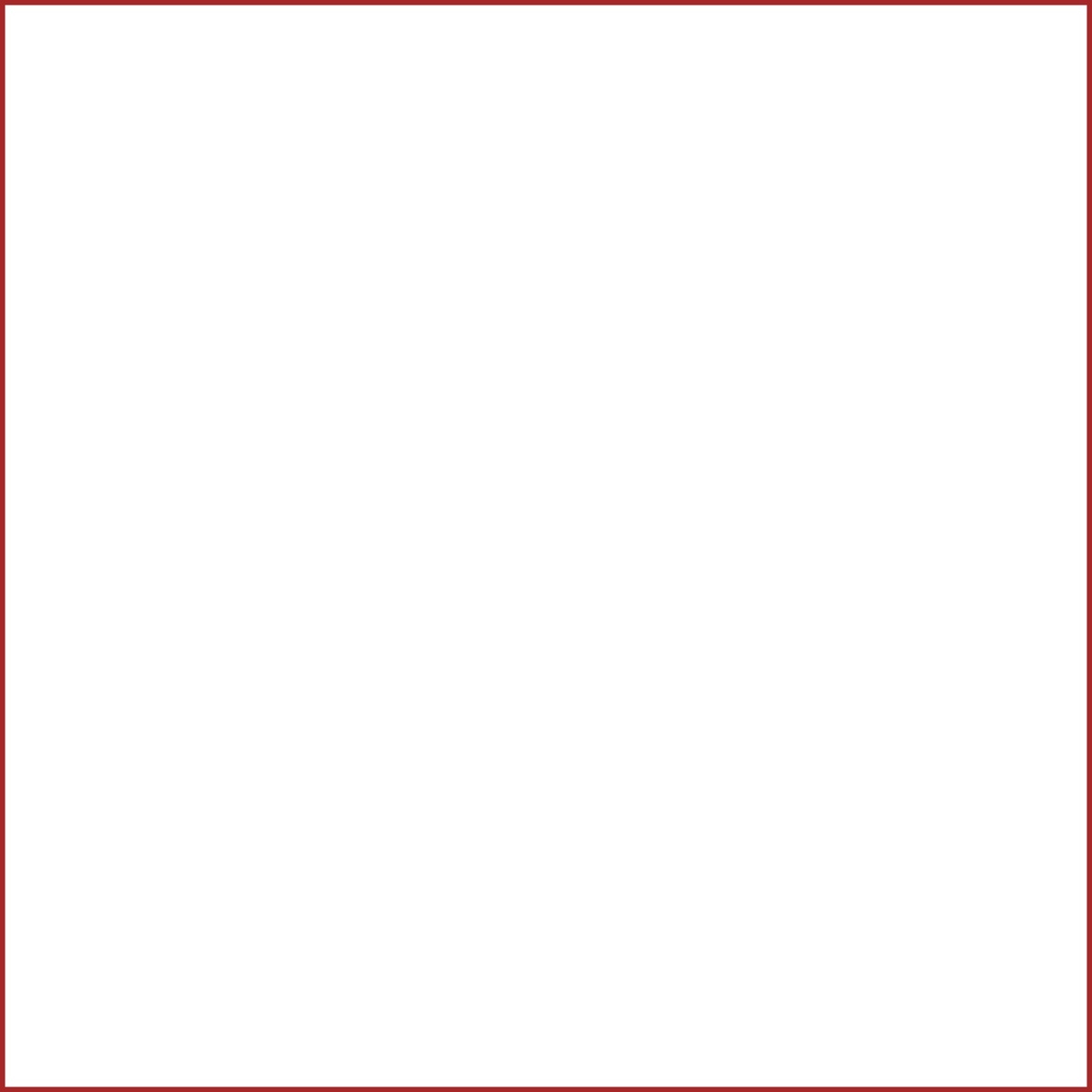 8681 UM Brilliant White