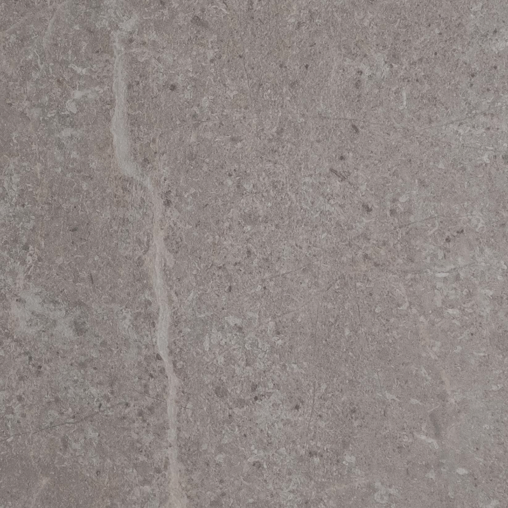 DP637