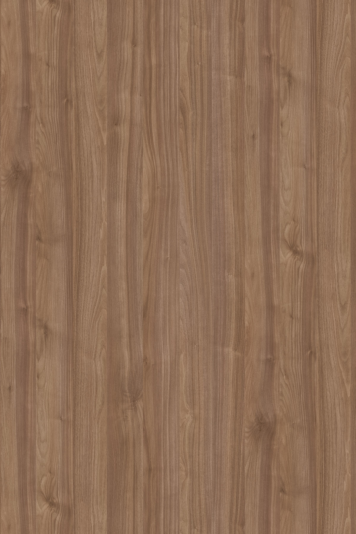 K009 PW Dark Select Walnut