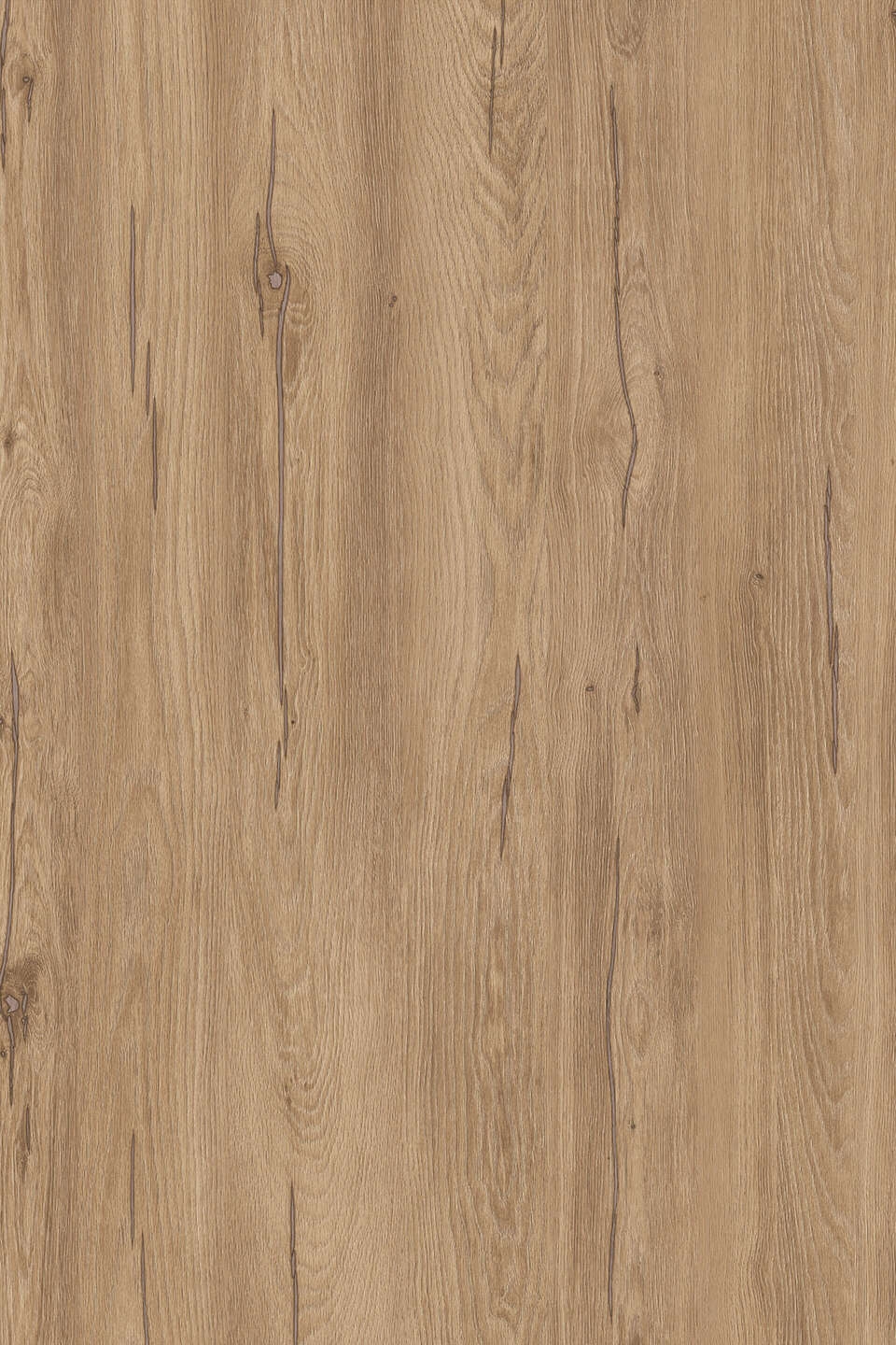 K544 RW Hazel Silverjack Oak