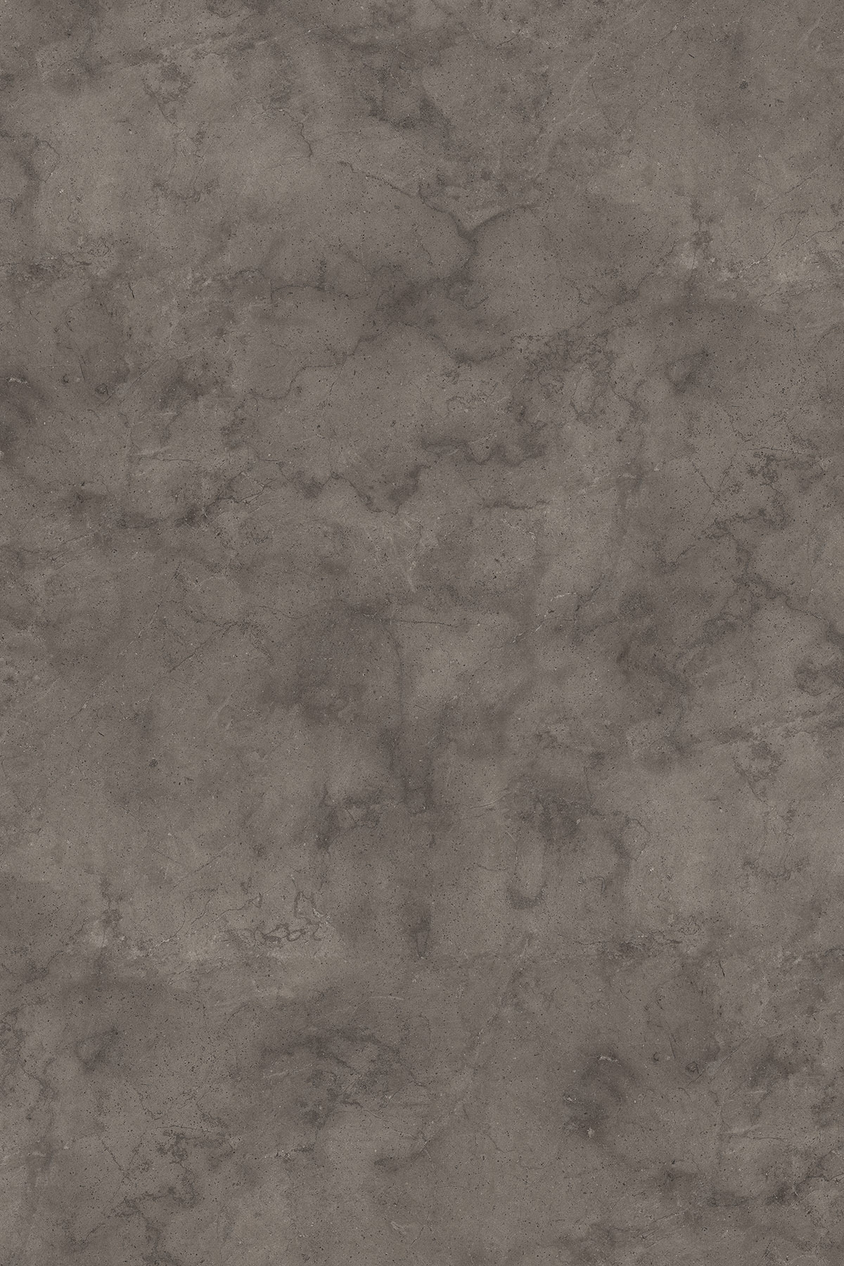 K539 PN Fossil Arosa