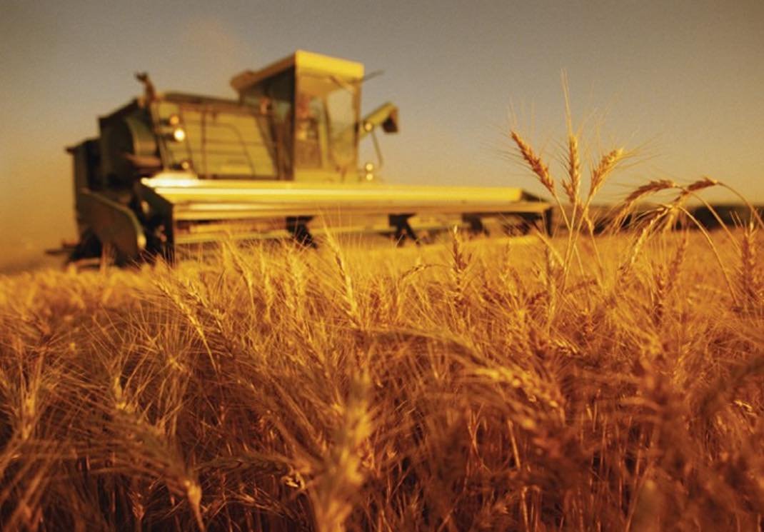 АЙМГИЙН АВАРГА ТАРИАЛАНЧ ХАМТ ОЛОН, АВАРГА ТАРИАЛАНЧДАД БАЯР ХҮРГЭЕ!