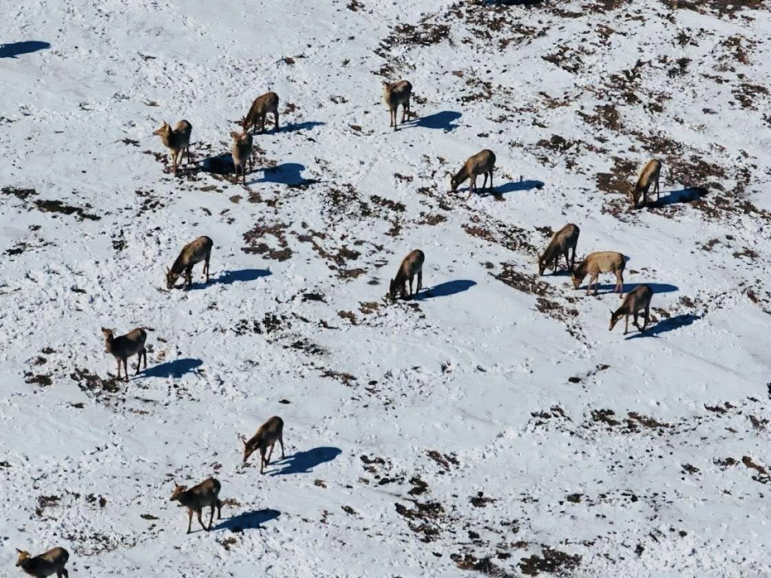 БИОТЕХНИКИЙН АРГА ХЭМЖЭЭ АВЧ АЖИЛЛАЛАА.