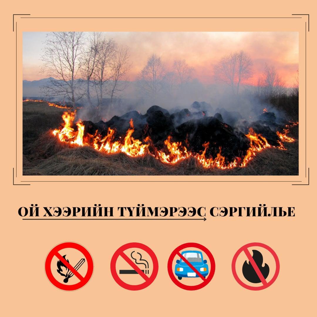 ОЙ, ХЭЭРИЙН ТҮЙМРЭЭС УРЬДЧИЛАН СЭРГИЙЛЬЕ‼️