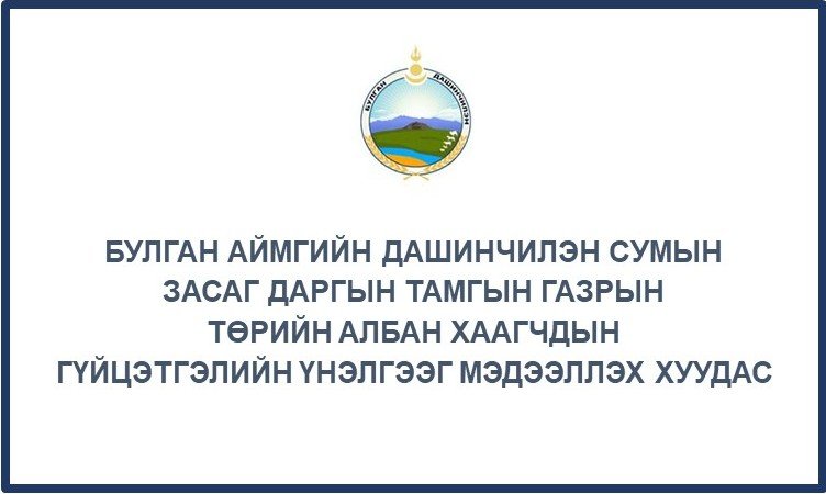 ГҮЙЦЭТГЭЛИЙН ҮНЭЛГЭЭГ МЭДЭЭЛЭХ ХУУДАС /2025 ОН ЖИЛИЙН ЭЦЭС/