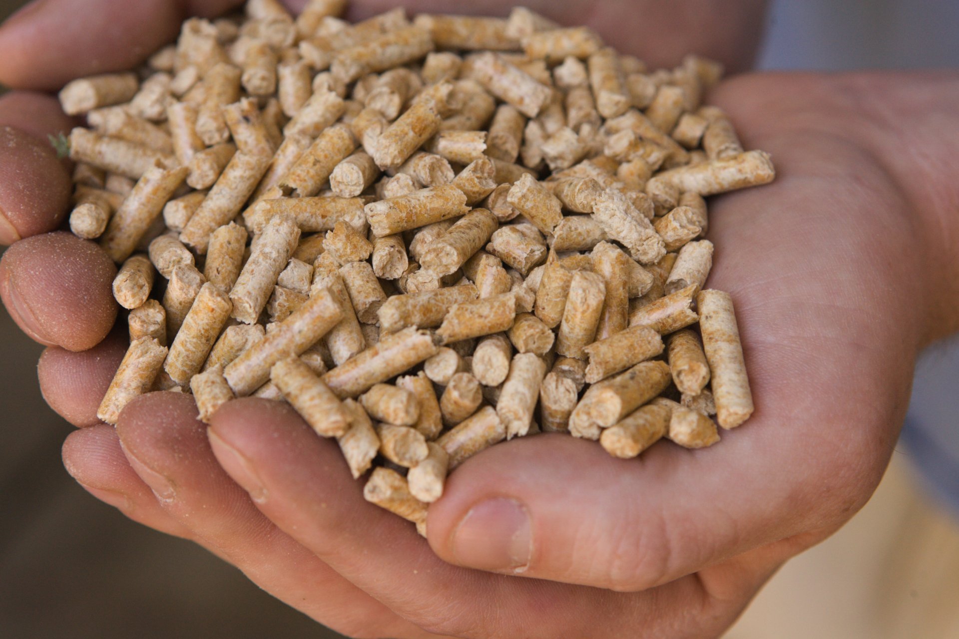 What is a Pellet?