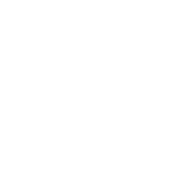 Алсын хараа