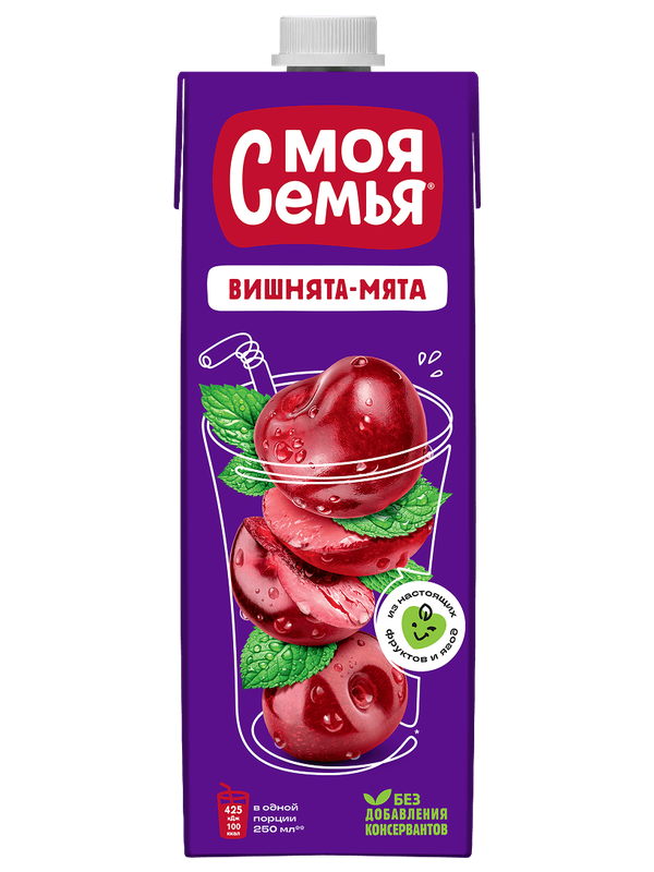 Моя Семья Интоор, мята 0.95L