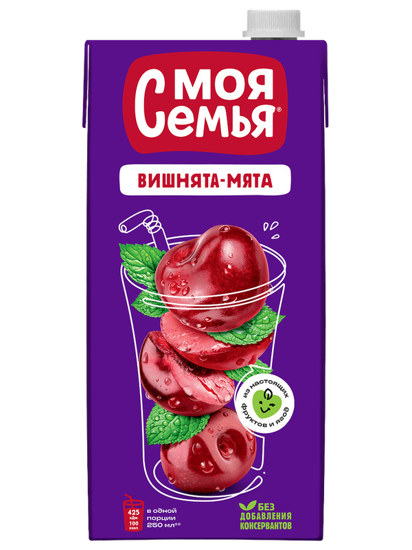 Моя Семья Интоор, мята 1.93L