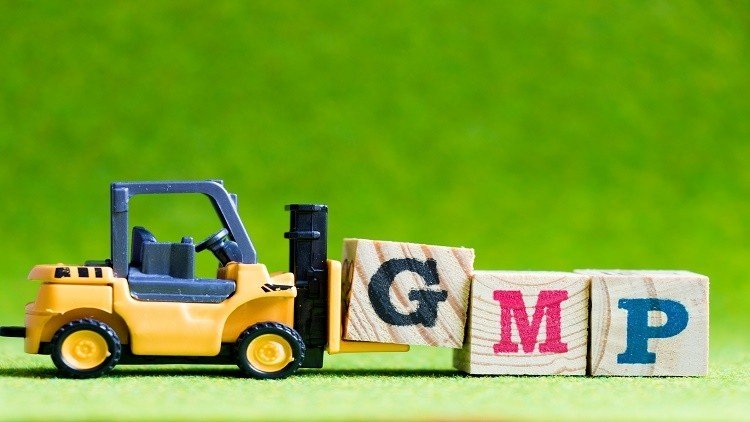 GMP гэж юу вэ?