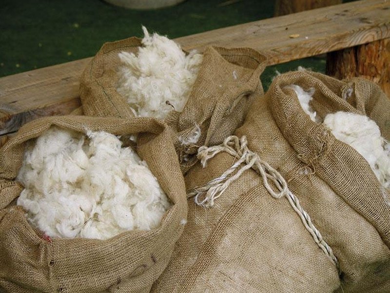 Ноосны урамшуулал олгож эхэлжээ