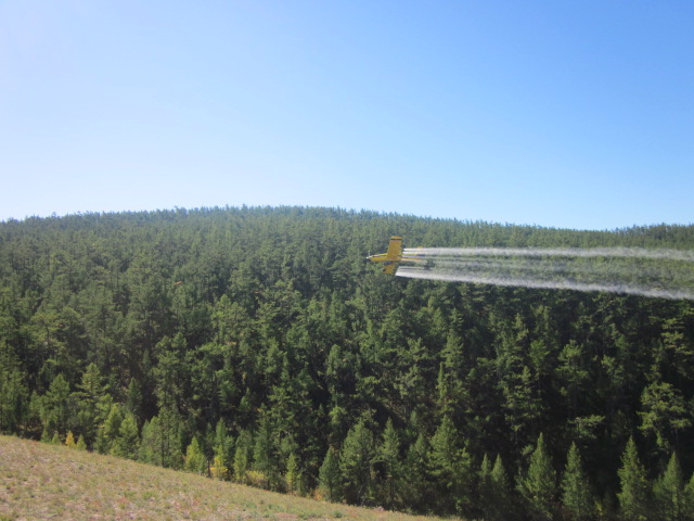 Ойн хөнөөлт шавьжтай тэмцэж буй манай арга технологи дэлхийн жишигт нийцсэн гэв