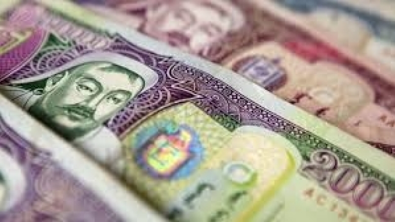 Гурав хүртэлх насны хүүхдээ асарч гэртээ байгаа ээжүүд төрөөс цалин авна