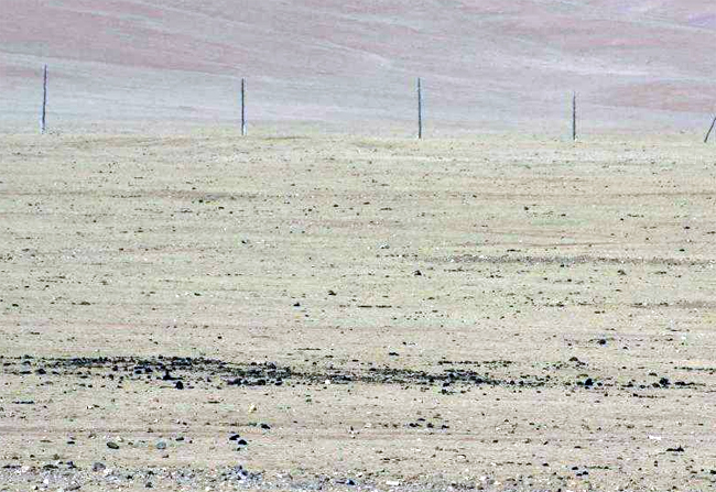 Олон улсын цөлжилтийн эсрэг өдрийг угтсан Монгол, Солонгосын хамтарсан уулзалт болж байна