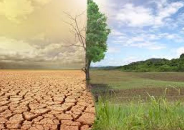 ОЙ БА УУР АМЬСГАЛЫН ӨӨРЧЛӨЛТИЙН АСУУДЛААР МОНГОЛ УЛС БУСДЫН ХАМТ УРАГШИЛЖ БАЙНА