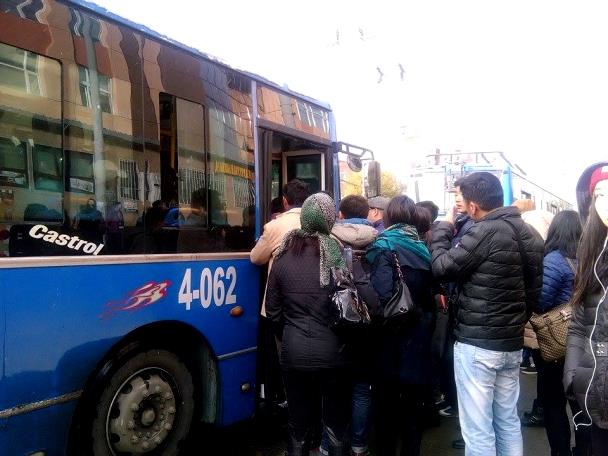 Оргил ачааллын үеэр нийтийн тээврийн хэрэгслийн тоог нэмнэ