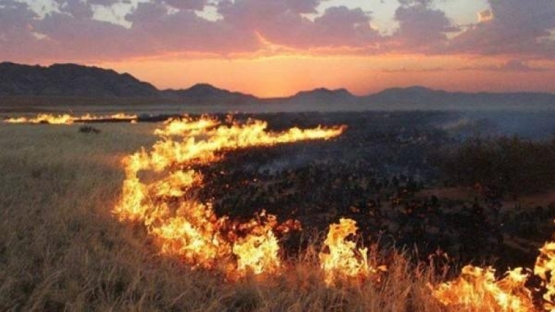 Он гарсаар улсын хэмжээнд ой хээрийн 50 гаруй түймэр гарчээ