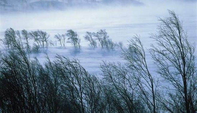 Цаг агаарын аюултай үзэгдлээс сэрэмжлүүлж байна