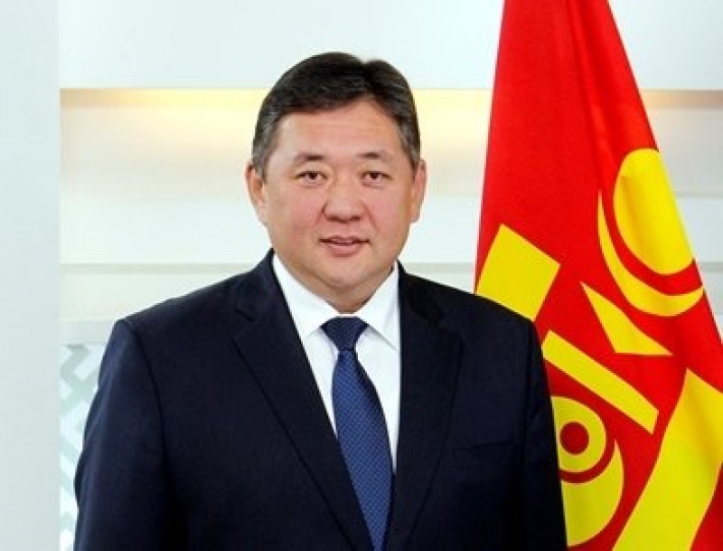 М.Энхболд: Хүүхдийн эрхийг зөрчин, эрүүл мэндэд нь хохирол учруулсанд нийт иргэдээсээ хүлцэл өчиж байна