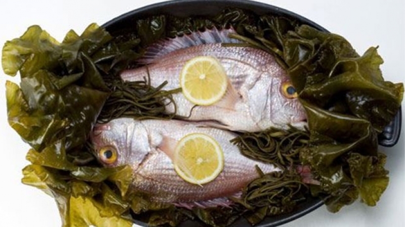 ДЭЛХИЙН ТҮҮХЭНД ӨНӨӨДӨР: Нэгдүгээр сарын 9