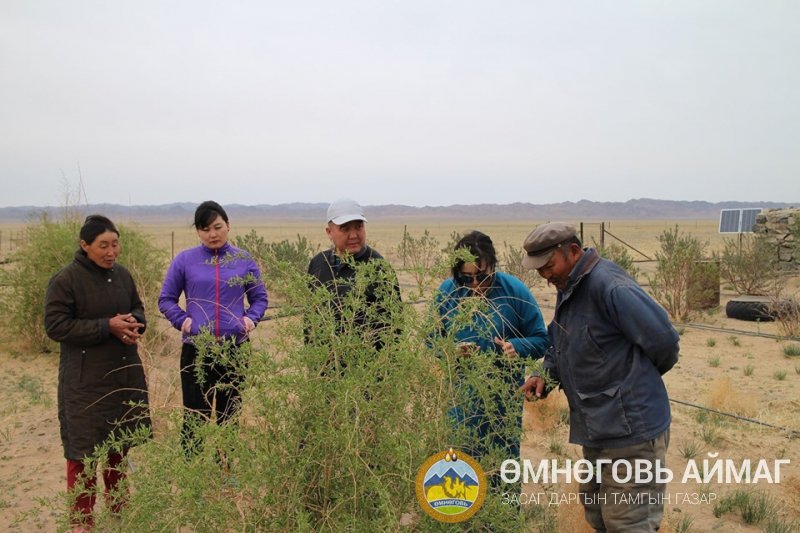 Өмнөговь аймгийн сумдуудад газар тариаланг төрөлжүүлэн хөгжүүлнэ