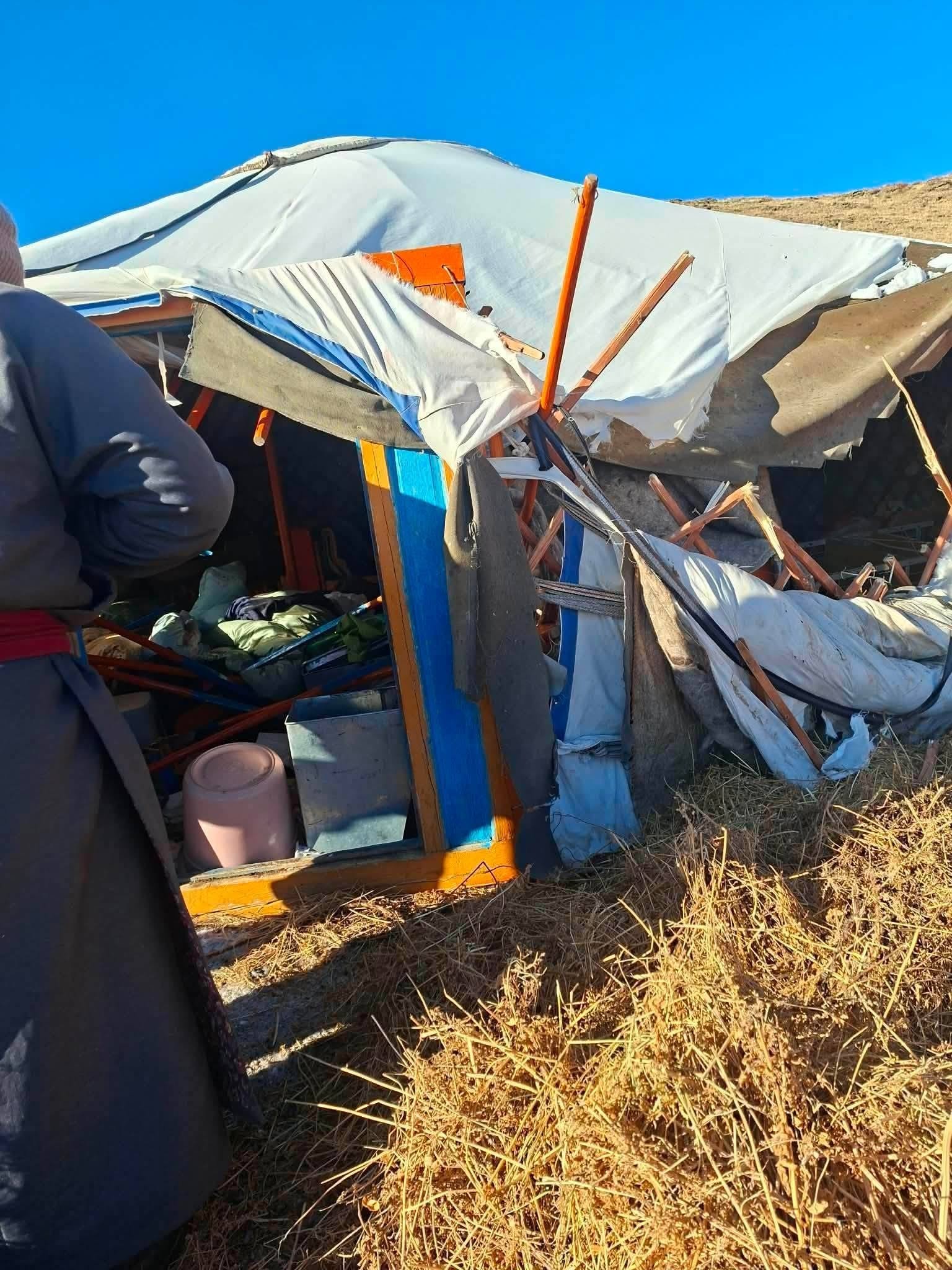 Завханд баавгай эзэнгүй айлын гэр рүү дайрчээ