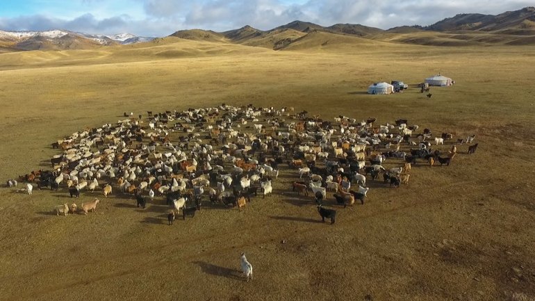 8.4 САЯ ТОЛГОЙ МАЛЫГ ОТРООР ӨВӨЛЖҮҮЛЖ, ХАВАРЖУУЛАХ ТӨЛӨВЛӨГӨӨТЭЙ БАЙНА