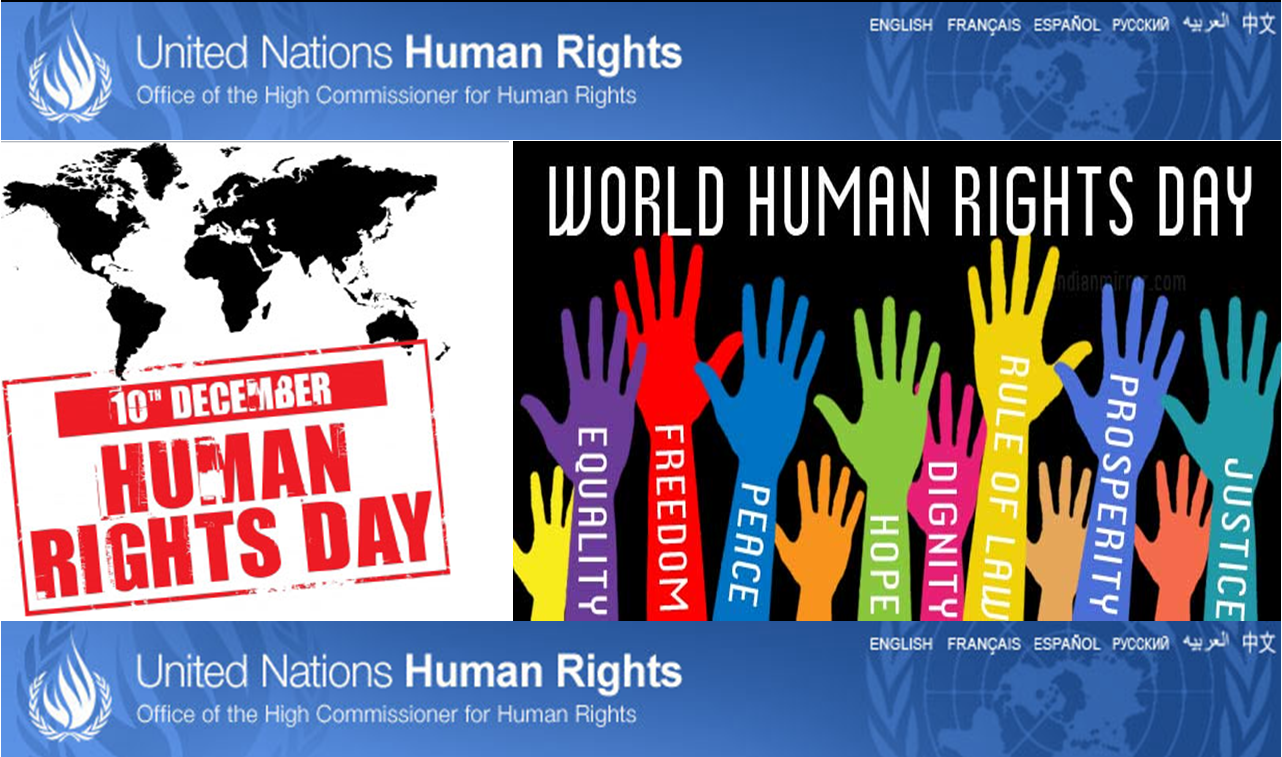 Олон улсын хүний эрхийн өдөр тохиож байна