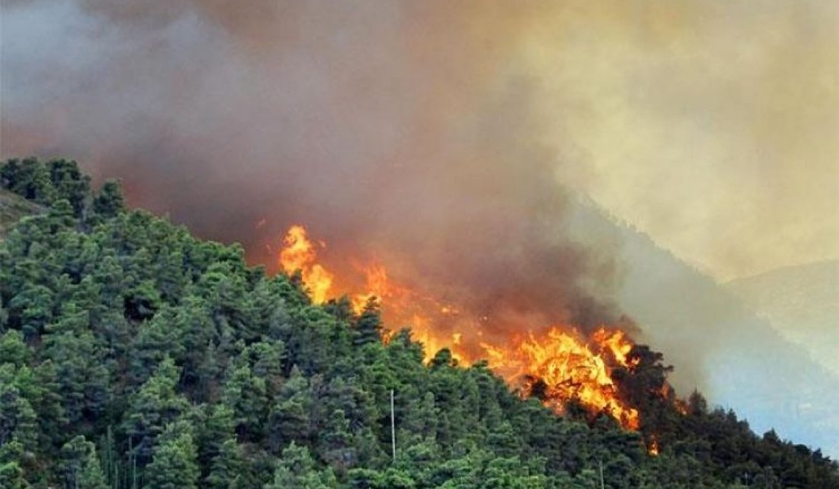 Өнгөрсөн жил нийслэлд 126 удаа хээрийн түймэр гарч, 59.7 га талбай шатжээ