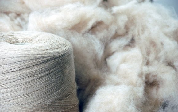 Ноолуурын экспорт тав дахин нэмэгджээ