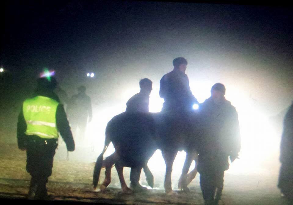 Хууль зөрчиж Дүнжингарав морин уралдааныг зохион байгуулсан хүмүүст хариуцлага тооцно