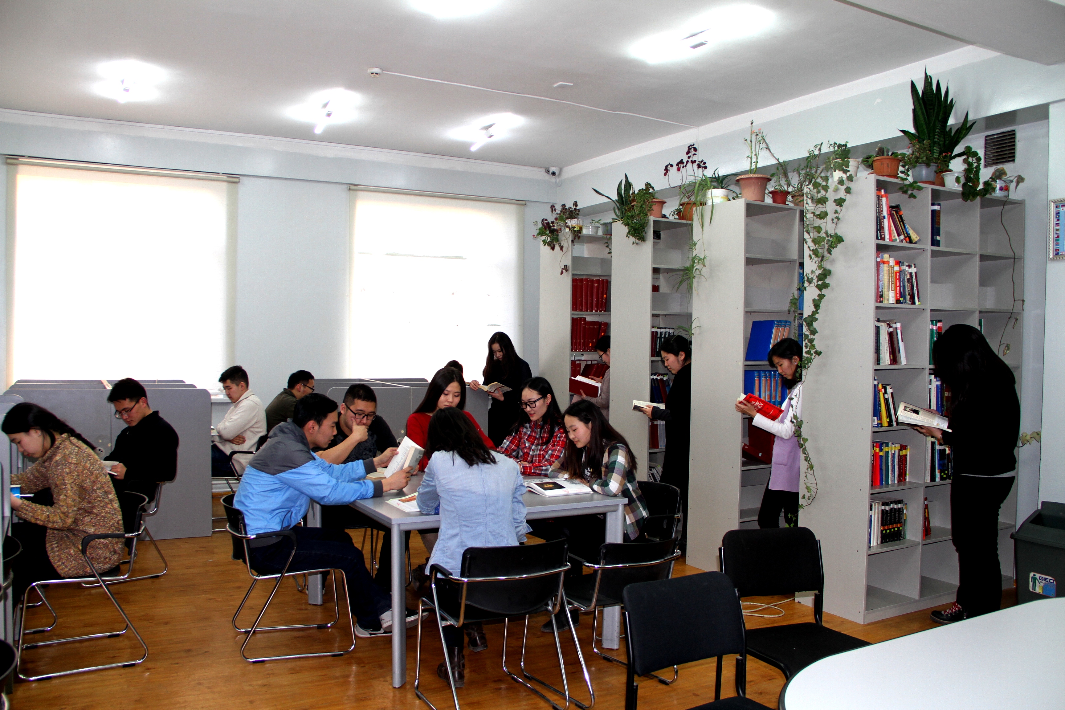 Нийтийн номын сангууд зөвхөн өнөөдөр уншигчийн карт үнэгүй нээж байна