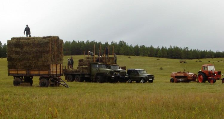 Улсын хэмжээнд 1 сая тонноос дээш хадлан бэлтгэх боломжтой гэж үзэж байна