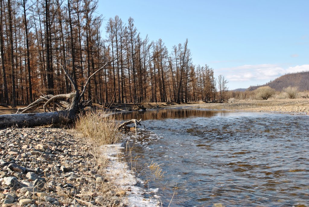 Ойрын өдрүүдэд ихэнх нутгаар дулаарна