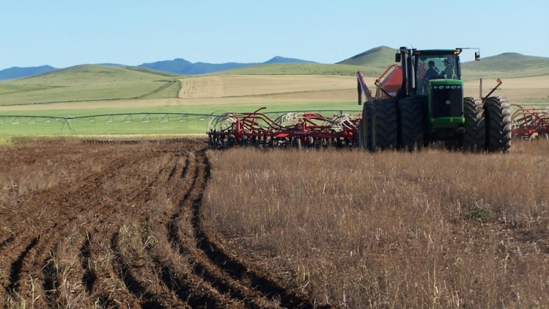 Хаврын тариалалт улсын хэмжээнд 60 хувьтай байна