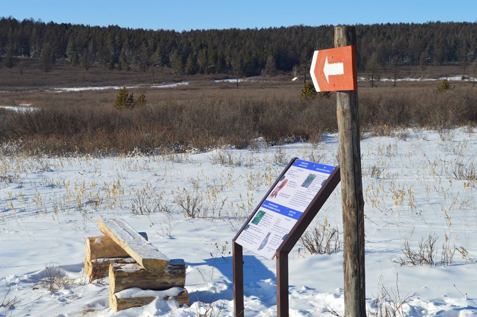 Нийслэлийн хойд чиглэлд анхны алхалтын зам нээгджээ