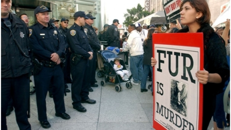 Сан-Францискод үслэг эдлэл худалдахыг хоригложээ