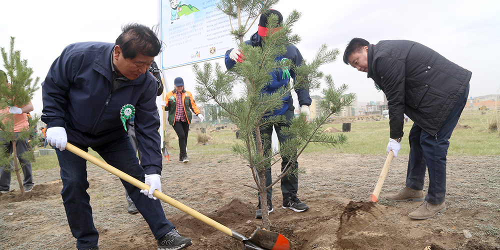 Үндэсний цэцэрлэгт хүрээлэнд “Намянжү Дасаны төгөл” байгууллаа