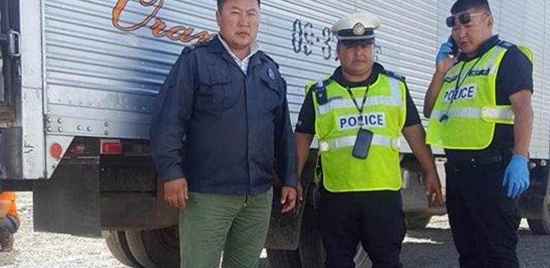 20 ширхэг тарвага тээвэрлэж явсан зөрчлийг илрүүлжээ