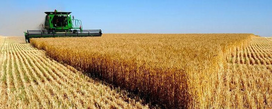 Тариалангийн бүс нутгийг тогтоолоо