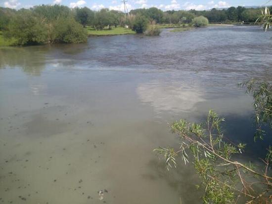 Туул голын орчны бүсийг тусгай хамгаалалтад авахыг дэмжлээ