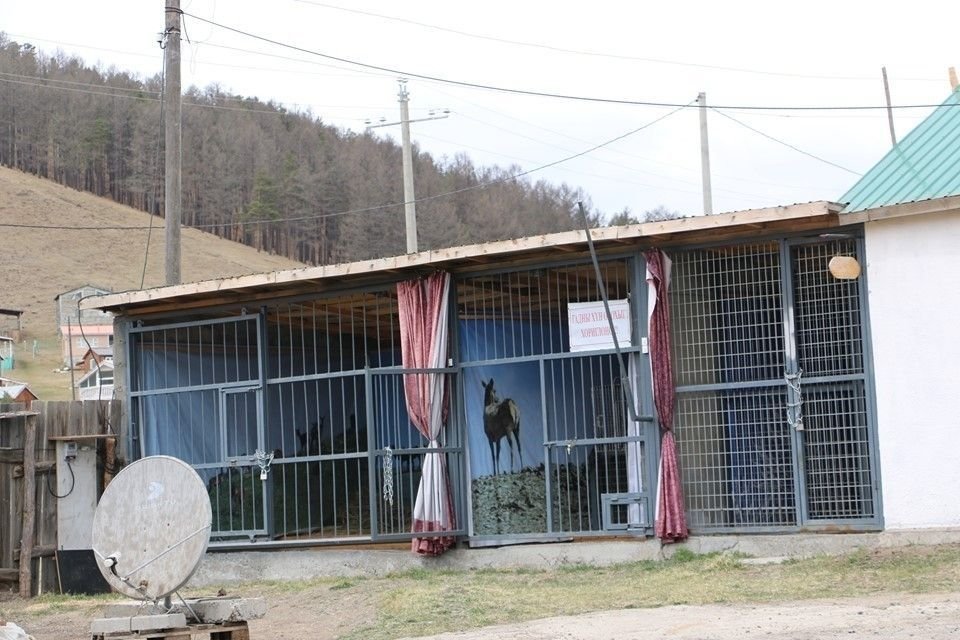 Цэвэрлэх байгууламжийн лагийг боловсруулан гаргаж авсан бордоог ашиглав