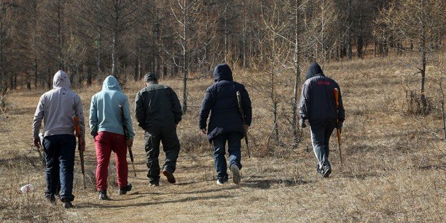 Золбин нохой устгах гэж байгаад сум алдаж, хүн гэмтээжээ