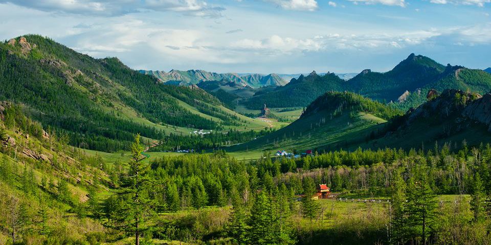 Ой хээрийн түймрээс урьдчилан сэргийлэх арга хэмжээг зохион байгуулж байна