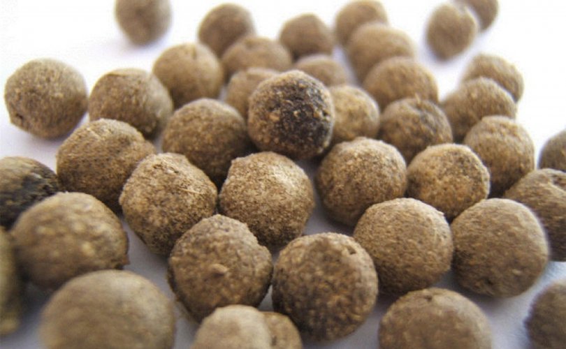 Зөвшөөрөлгүй эм бэлдмэл ашиглан эмчилгээ хийх гэж байжээ