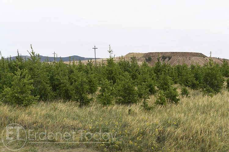 Чулуун дээр мод тарьсан анхны уурхай