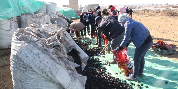 Ажлын хөлсөөрөө зорилтот бүлгийн 20 өрхөд шахмал түлш хандивлажээ