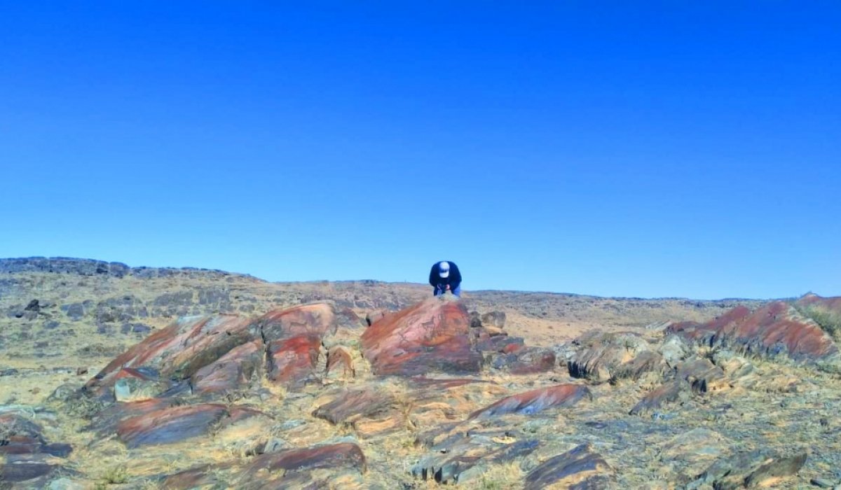 Дэл уул, Цагаан суварга орчмыг улсын тусгай хамгаалалтад авна