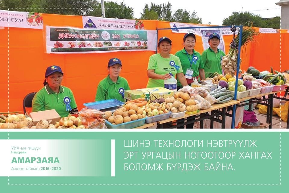 УИХ-ын гишүүн Н.Амарзаяагийн ХАА-н салбарт хэрэгжүүлсэн ОНЦЛОХ ажлууд
